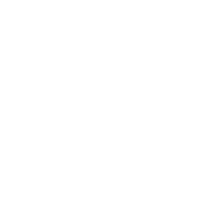 PW NEW logo 1996 White R